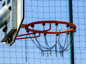 开云电竞服务-篮球专项技能动作运动控制机制分析与应用，篮球运动主要技术动作方法及其运用