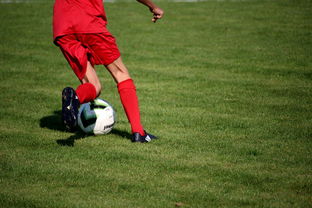 开云·Kaiyun网页版-篮球运动员专项体能训练技术与监控体系，篮球体能系统训练计划