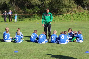 开云官方网页登录-北京队战术革新，势要突破！，北京队队员